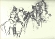 karl-drerup-drawing-16