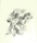 karl-drerup-drawing-17