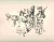 karl-drerup-drawing-27
