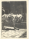 karl-drerup-photograph-43